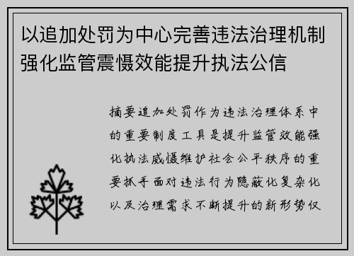 以追加处罚为中心完善违法治理机制强化监管震慑效能提升执法公信