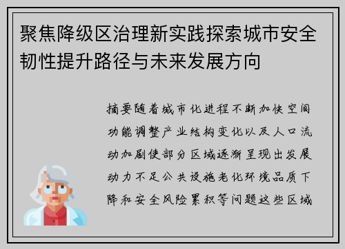 聚焦降级区治理新实践探索城市安全韧性提升路径与未来发展方向